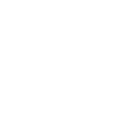 Enjayes.white_.logo_