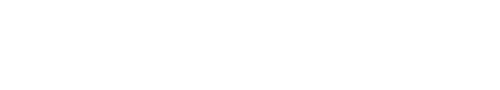 Learnex.white_.logo_-e1721974643358