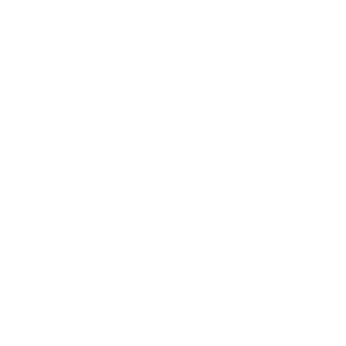 TalentMindConsultancy.white_.logo_
